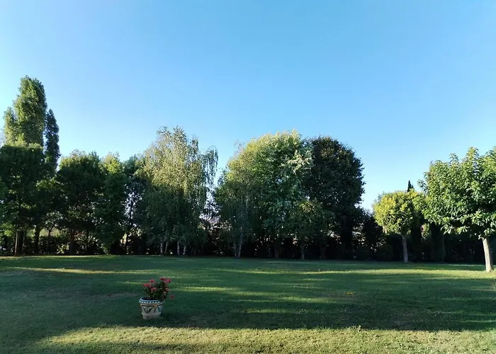 Red Wine Couette-café