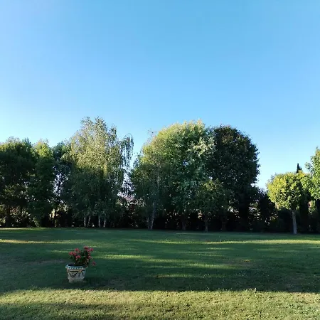 Red Wine Oda ve Kahvaltı