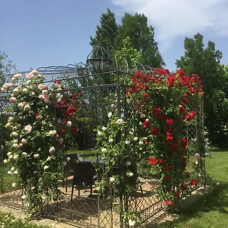 Red Wine 4* Castel San Pietro Terme