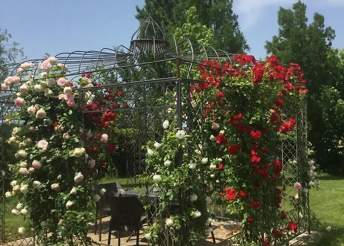 Red Wine 4* Castel San Pietro Terme